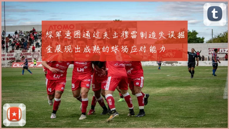 绿军意图通过夹击穆雷制造失误掘金展现出成熟的球场应对能力