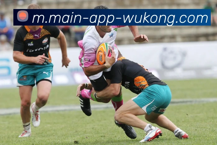 悟空体育APP 封面图