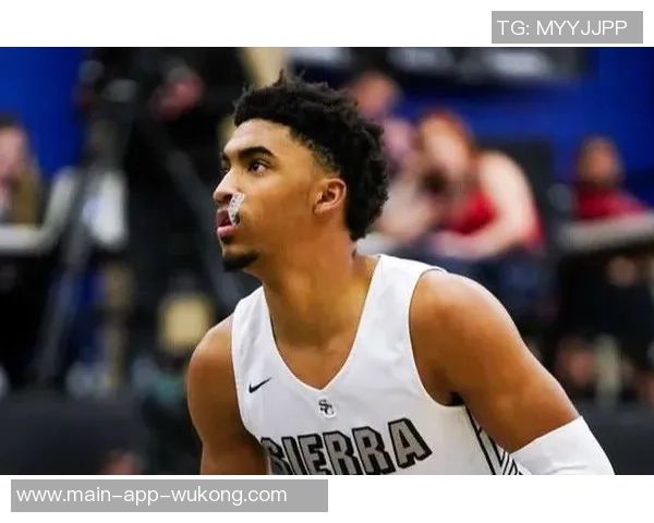 冈萨雷斯本赛季正负值领跑新秀榜哈珀紧随其后展现潜力